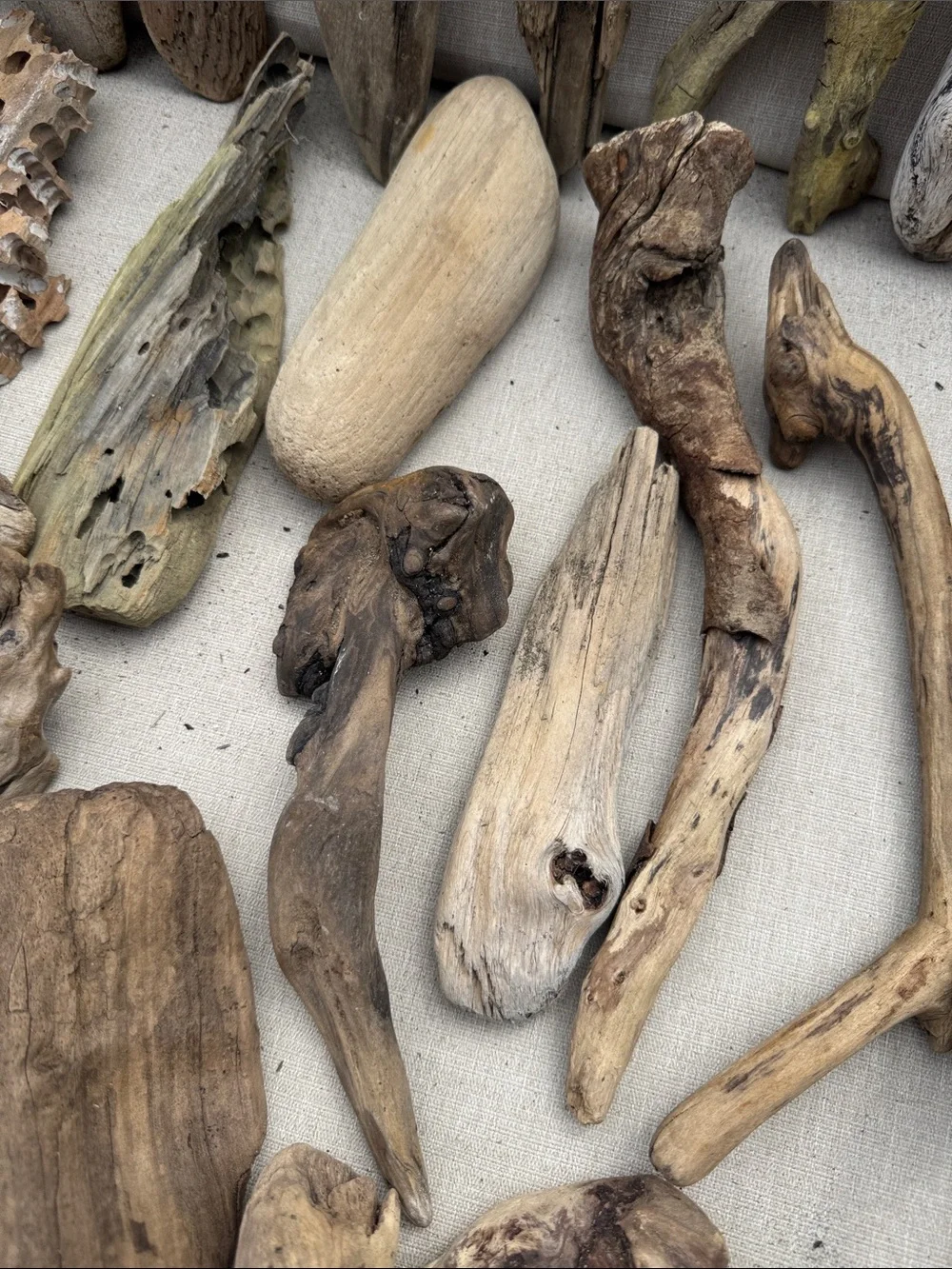 22 pcs(5lb shipped)Natural Driftwood & Beach Wood Accent Collection decor, craft
